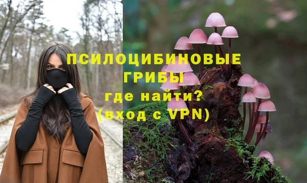крисы Аркадак
