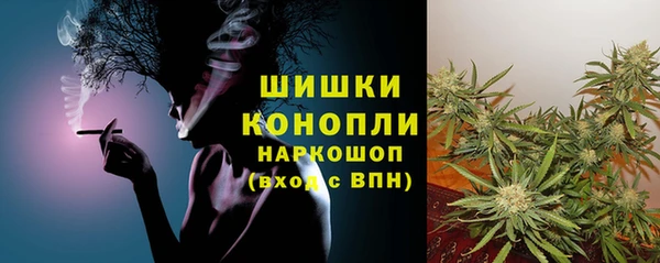крисы Аркадак